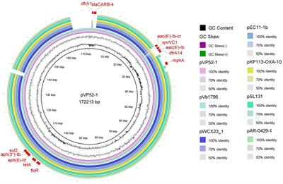 Characterization and transmission of plasmid-mediated multidrug resistance in foodborne Vibrio parahaemolyticus